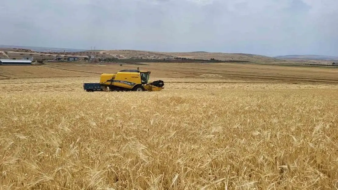 'Biçerdöverlerin arpa tarlalarına girdiği Adıyamanda hasat başladı'