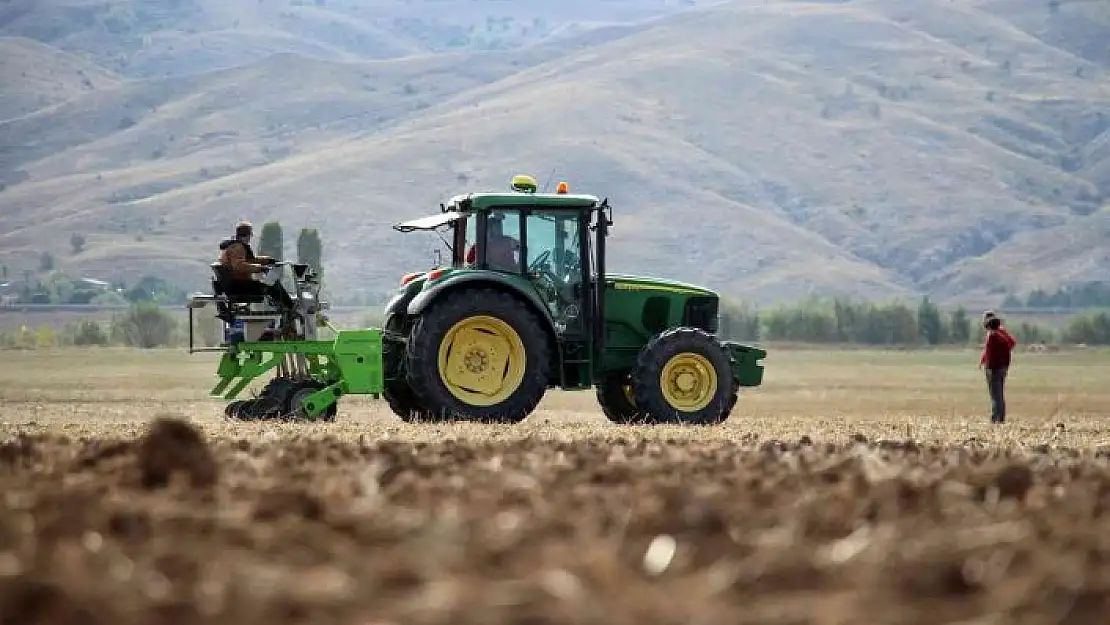 'Bilim tarlasında bin 500 farklı buğday genotipi tohumu toprakla buluştu'