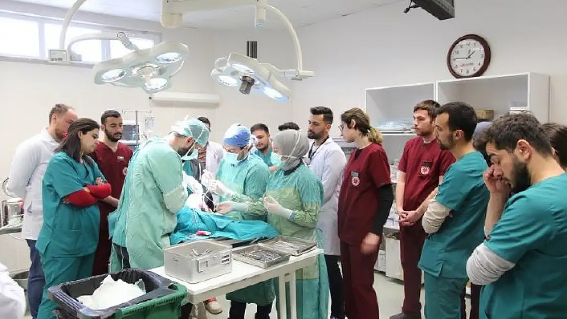 'Bingöl´den getirilen K9 cinsi köpek Sivas´ta ameliyat edildi'