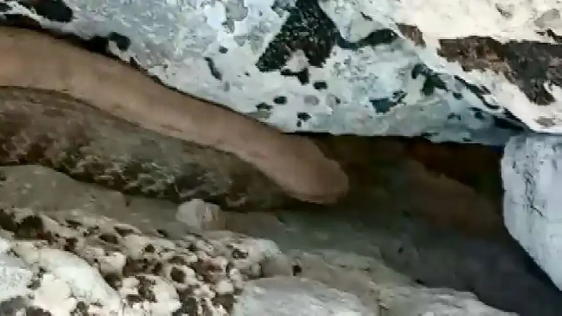 'Bir tarafta zehirli yılanla konuşanlar, bir tarafta yılanı taşlayanlar'