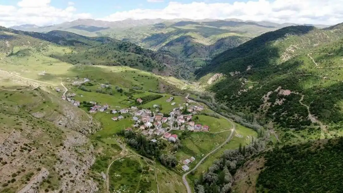 'Bozkır olarak bilinen Sivas´ta Karadeniz´i andıran görüntüler mest ediyor'