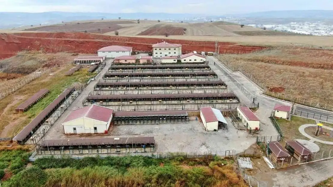 'Bu barınak 5 yıldızlı otelleri aratmıyor'
