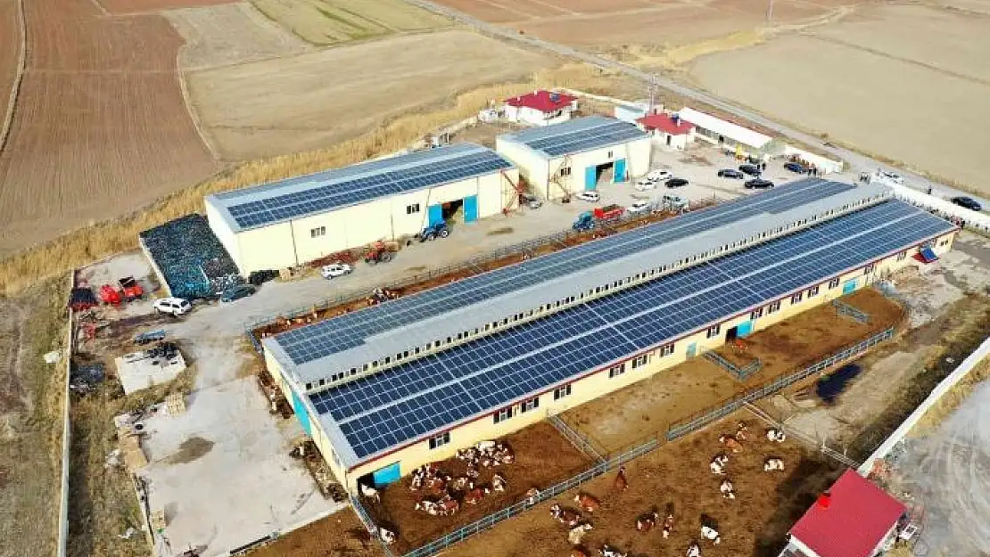 'Bu çiftlikte bir yandan süt bir yandan enerji üretiliyor'
