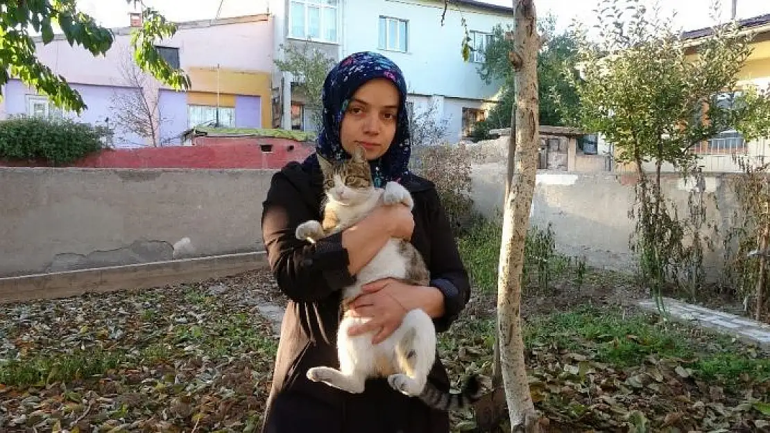 'Bu evde 60 kedi yaşıyor'