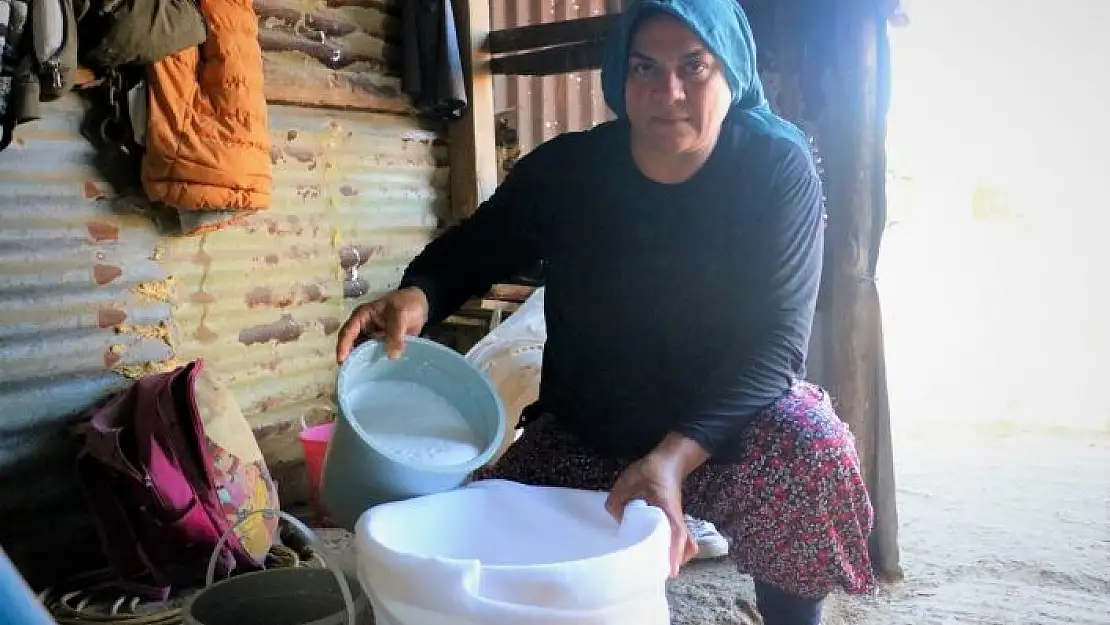 'Bu sütün fiyatı normalinin 3 katı'