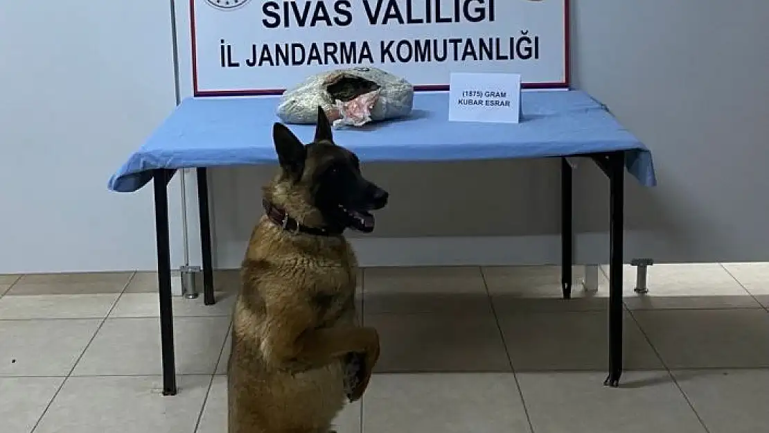 'Buda yolcu beraberinde uyuşturucu'