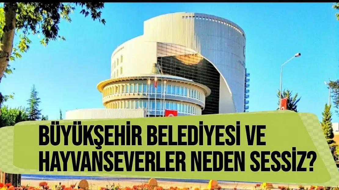 Büyükşehir Belediyesi ve Hayvanseverler neden sessiz 