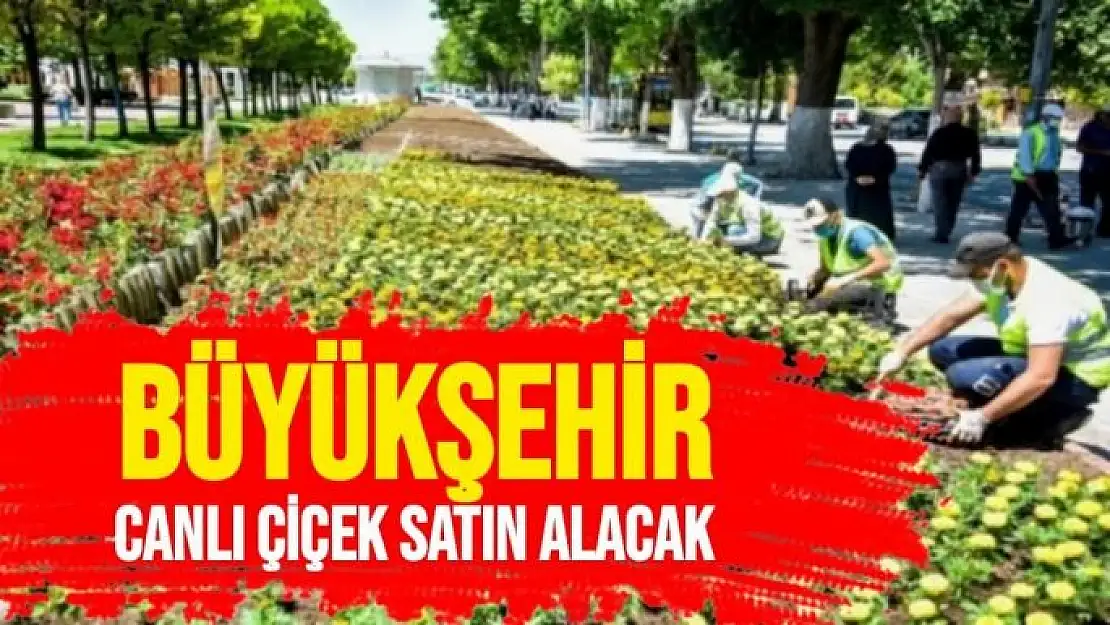 Büyükşehir Canlı Çiçek Satın Alacak