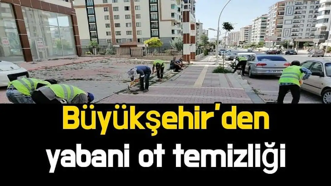 Büyükşehir´den yabani ot temizliği