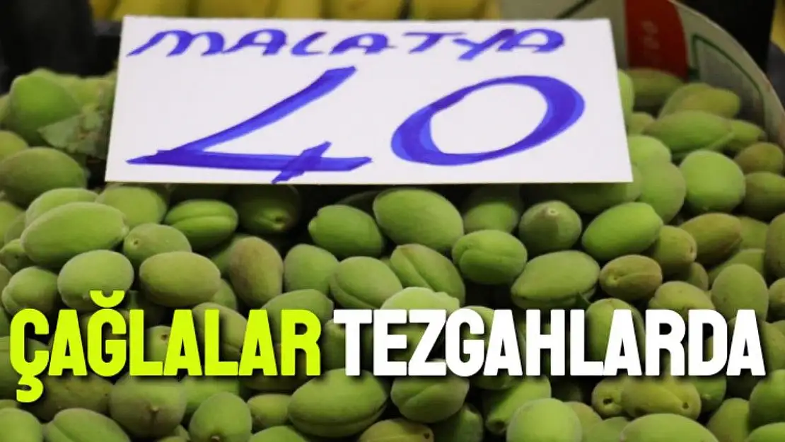 Çağlalar tezgahlarda