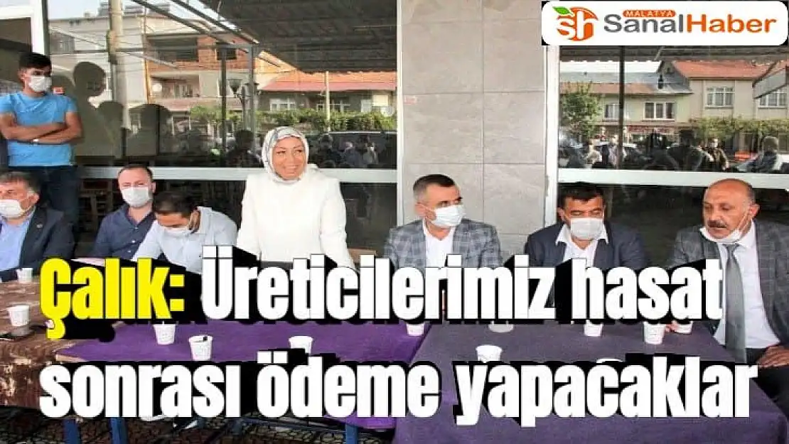 Çalık Üreticilerimiz hasat sonrası ödeme yapacaklar