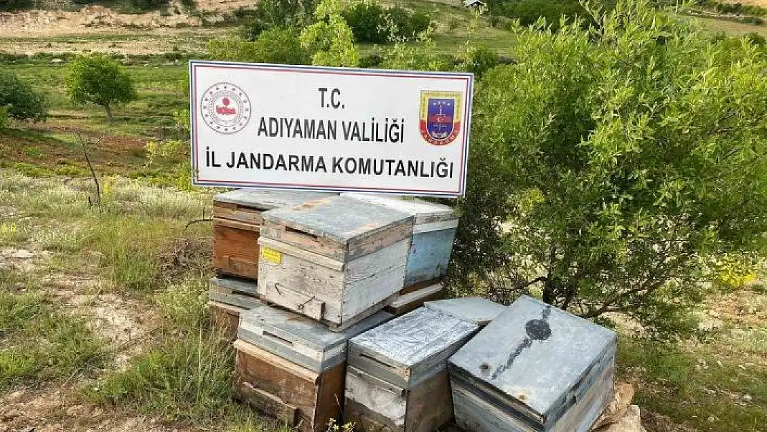 'Çalınan arı kovanları jandarma tarafından bulundu'