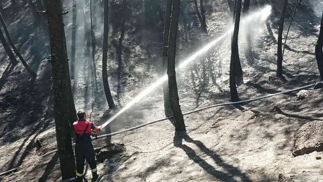 'Çamlık alanda korkutan yangın'