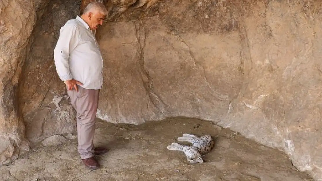 'Canlısını hiç görmemişlerdi, ölüsü ile karşılaştılar'