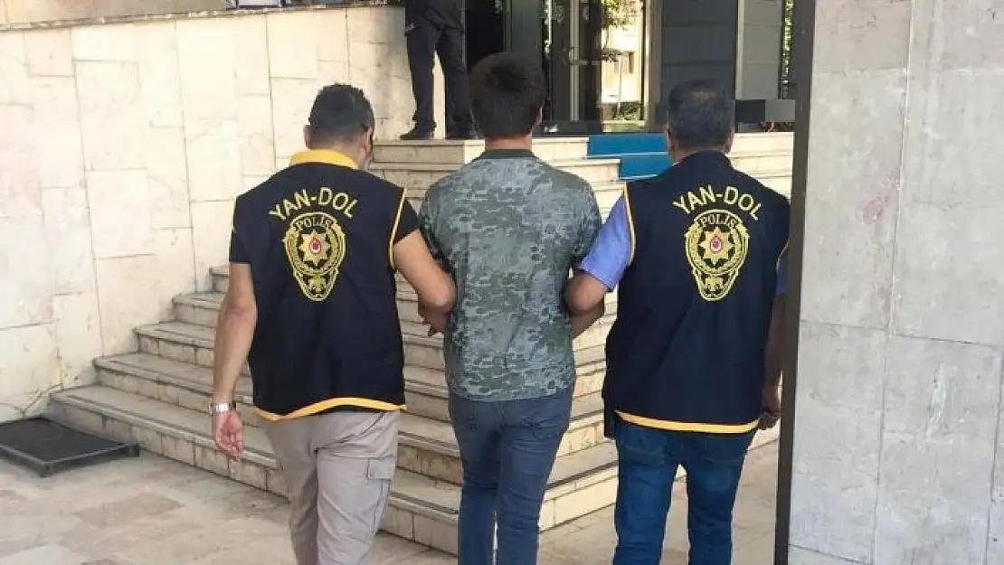 'Çatı faresi yakalandı'