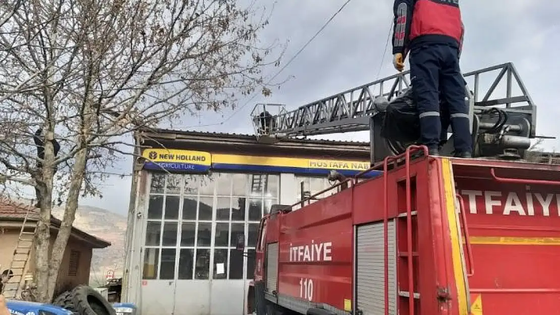 'Çatıda mahsur kalan kediyi itfaiye ekipleri kurtardı'
