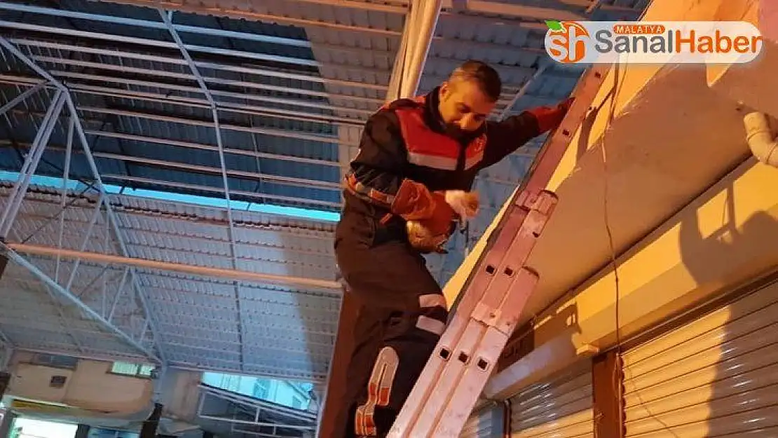 Çatıda mahsur kalan kediyi itfaiye kurtardı