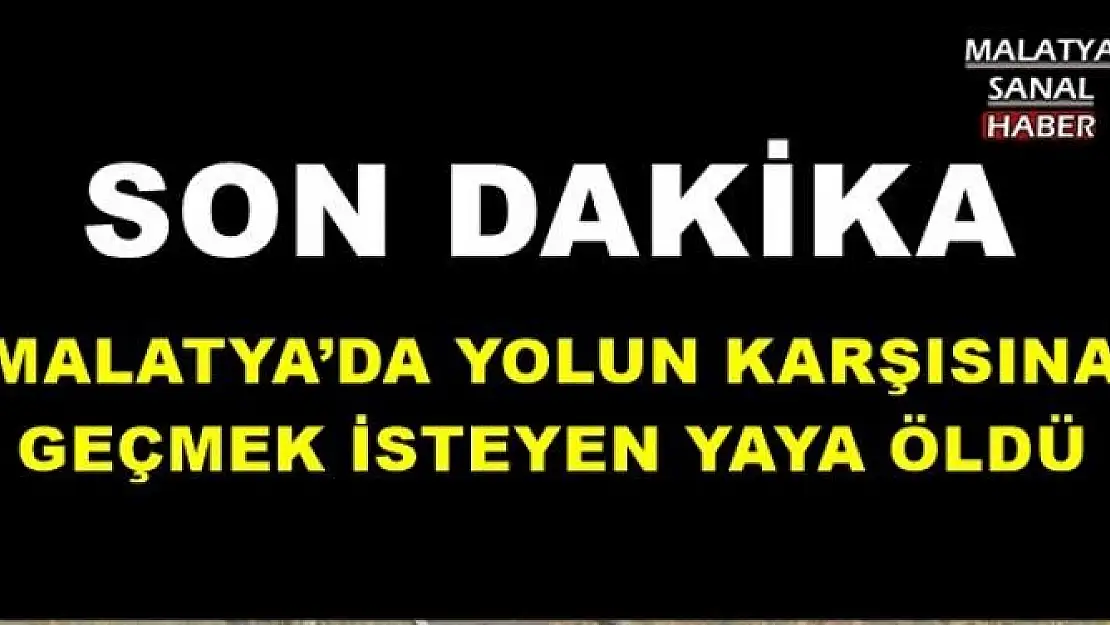 MALATYA´DA YOLUN KARŞISINA
