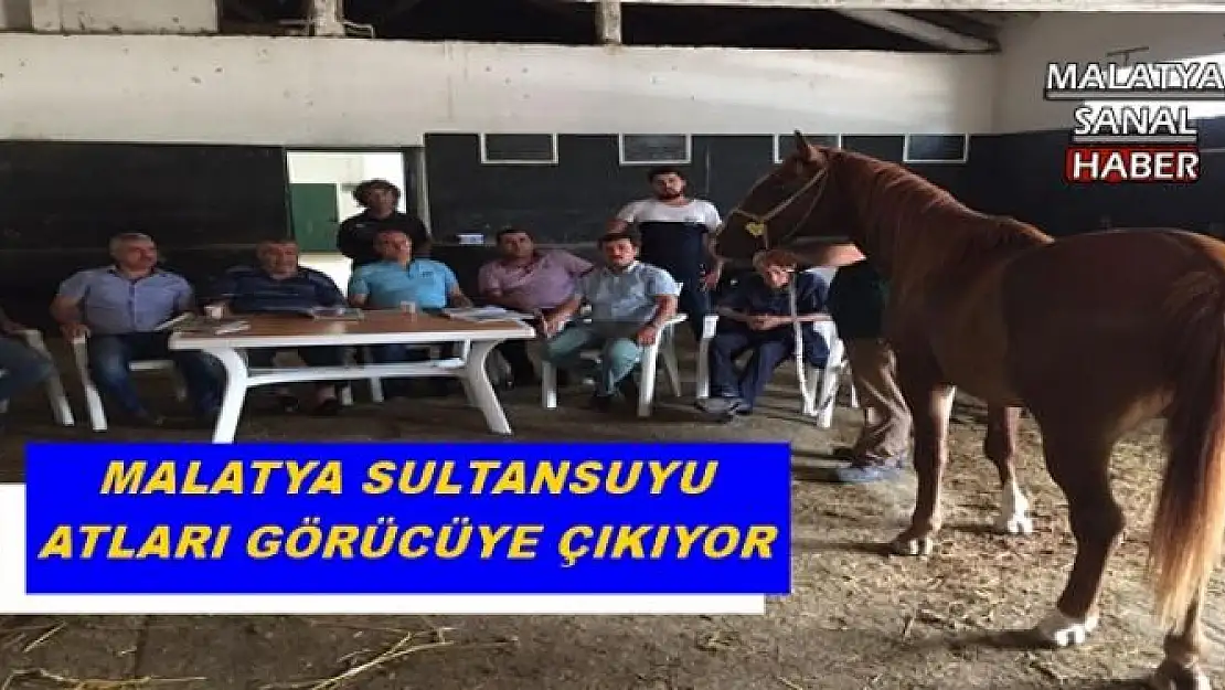 MALATYA SULTANSUYU ATLARI GÖRÜCÜYE ÇIKIYOR