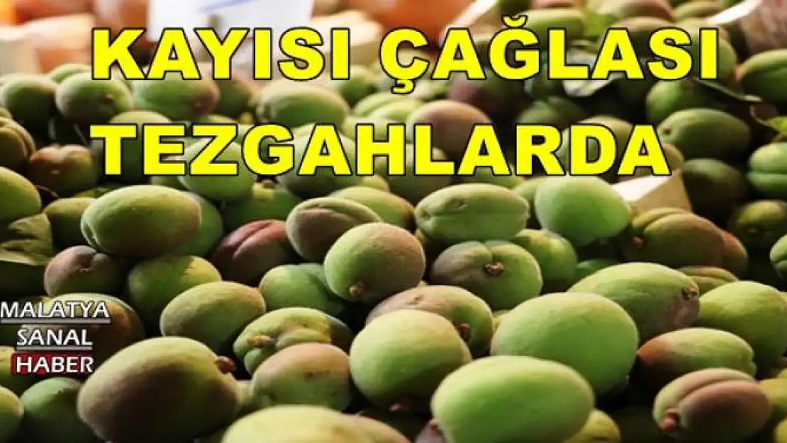 KAYISI ÇAĞLASI TEZGAHLARDA