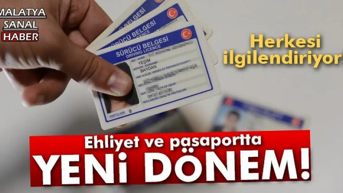 Pasaport ve ehliyet işlemleri 