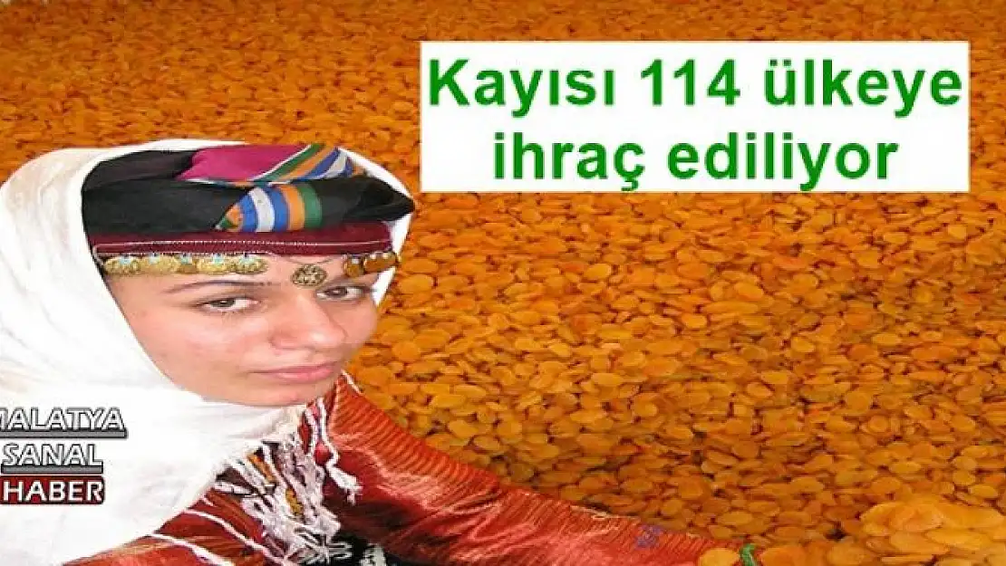 Kayısı 114 ülkeye ihraç ediliyor