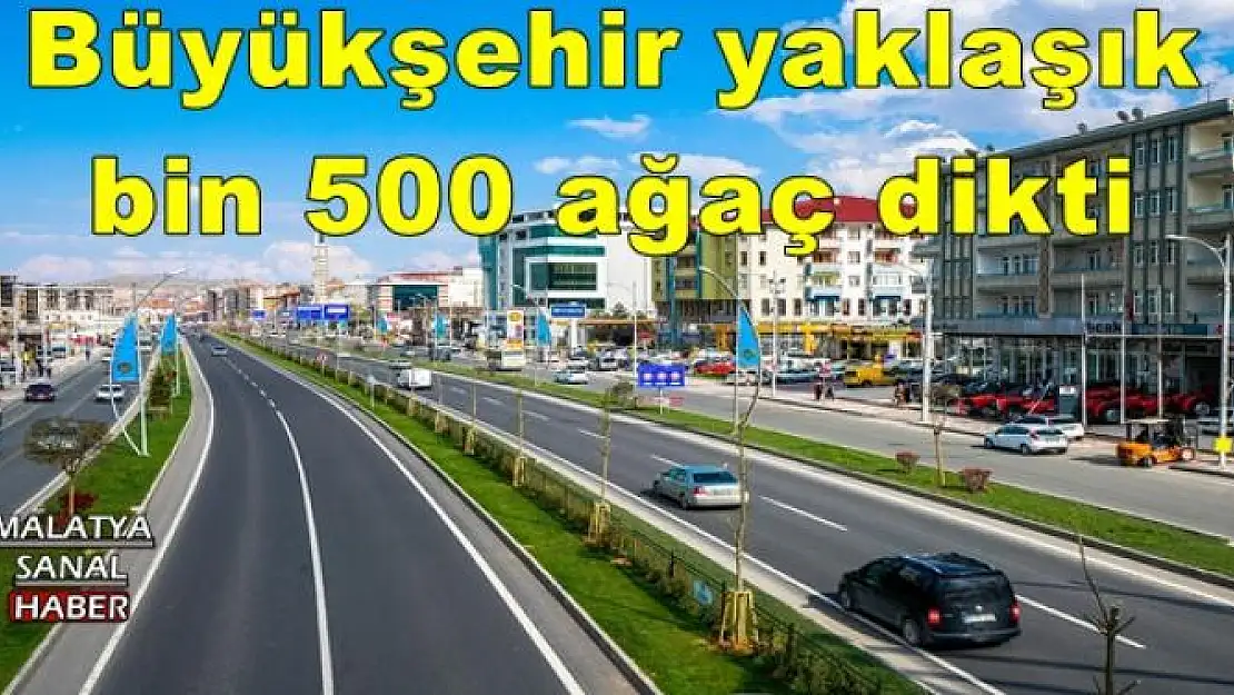 Büyükşehir yaklaşık bin 500 ağaç dikti