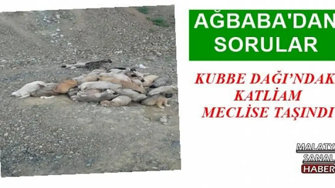 KUBBE DAĞI´NDAKİ KATLİAM MECLİSE TAŞINDI