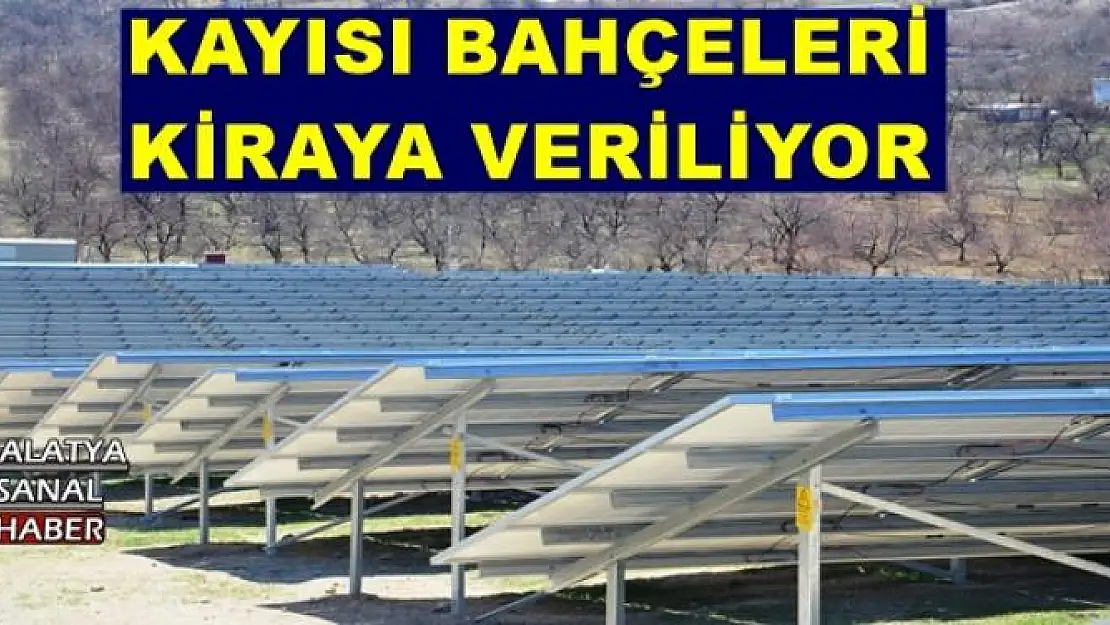 KAYISI BAHÇELERİ KİRAYA VERİLİYOR