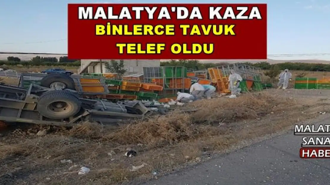 MALATYA'DA KAZA