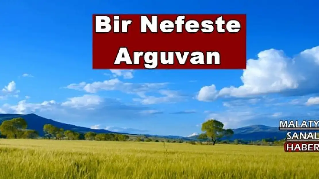 Bir Nefeste Arguvan