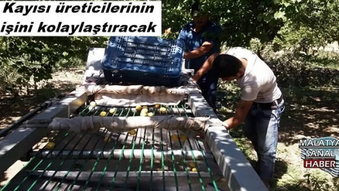 Kayısı üreticilerinin işini kolaylaştıracak