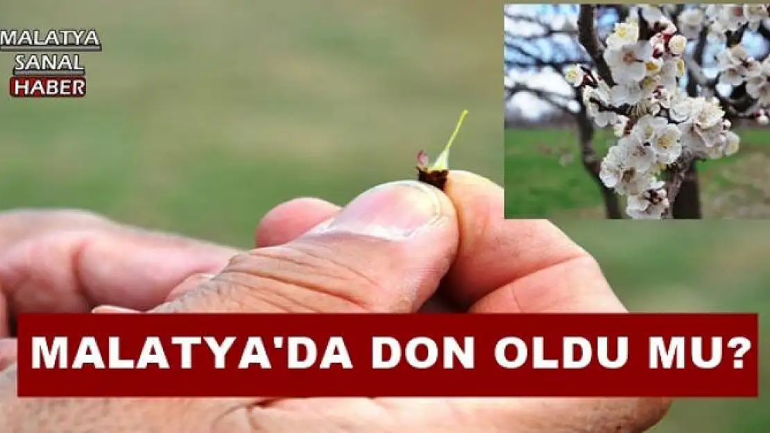 MALATYA'DA DON OLDU MU?