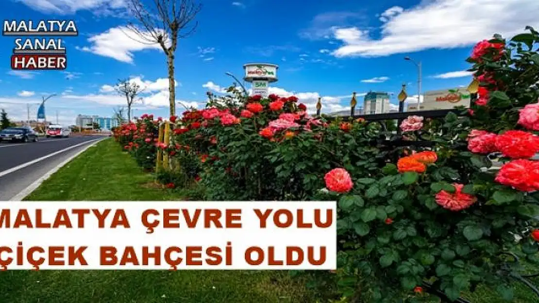 MALATYA ÇEVRE YOLU ÇİÇEK BAHÇESİ OLDU