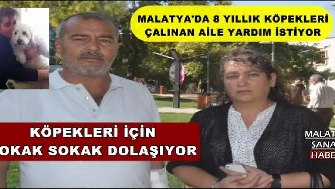 MALATYA'DA 8 YILLIK KÖPEKLERİ ÇALINAN AİLE YARDIM İSTİYOR