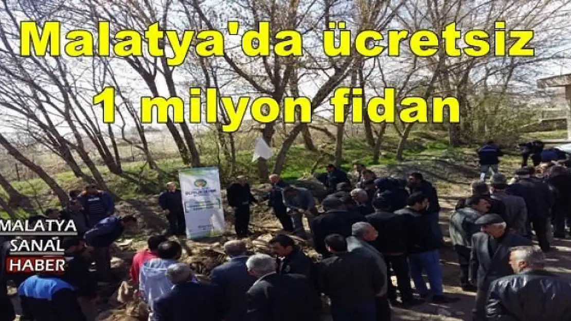 Malatya'da ücretsiz 1 milyon fidan 