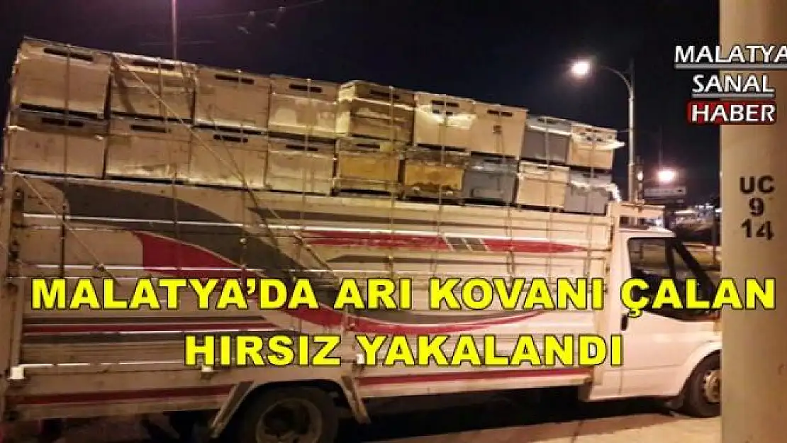 MALATYA´DA ARI KOVANI ÇALAN HIRSIZ YAKALANDI