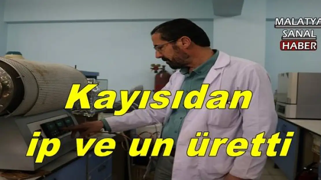 Kayısıdan ip ve un üretti