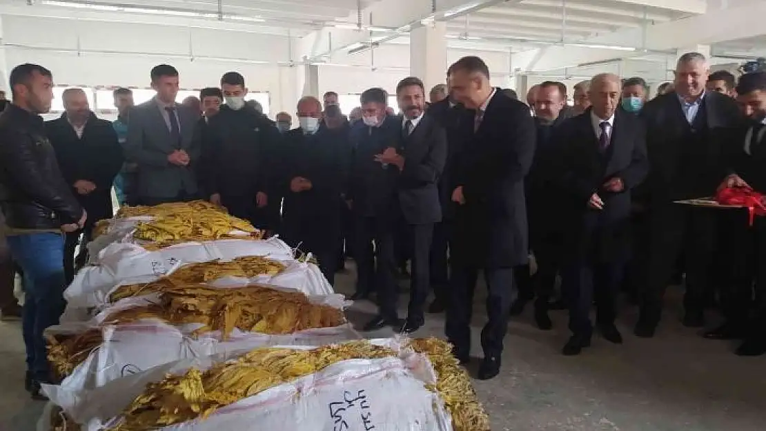 'Çelikhan Tütün Üretim ve Pazarlama Kooperatifi tütün alımına başladı'
