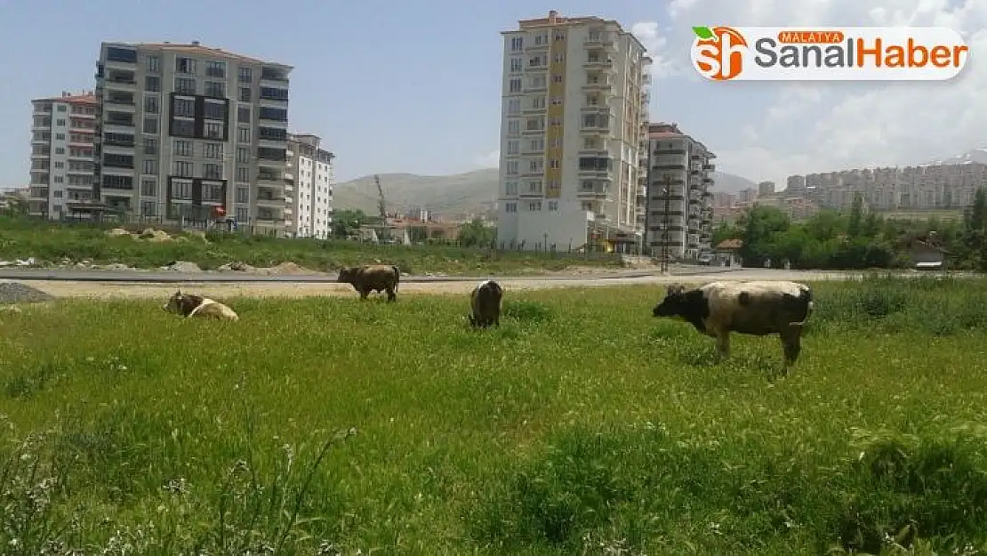 Çiftçi proje başvuruları 7 Temmuz'a uzatıldı