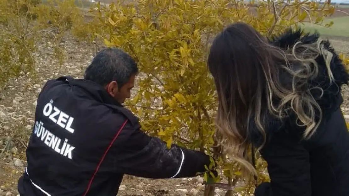 'Çiftçilere budama teknikleri öğretildi'