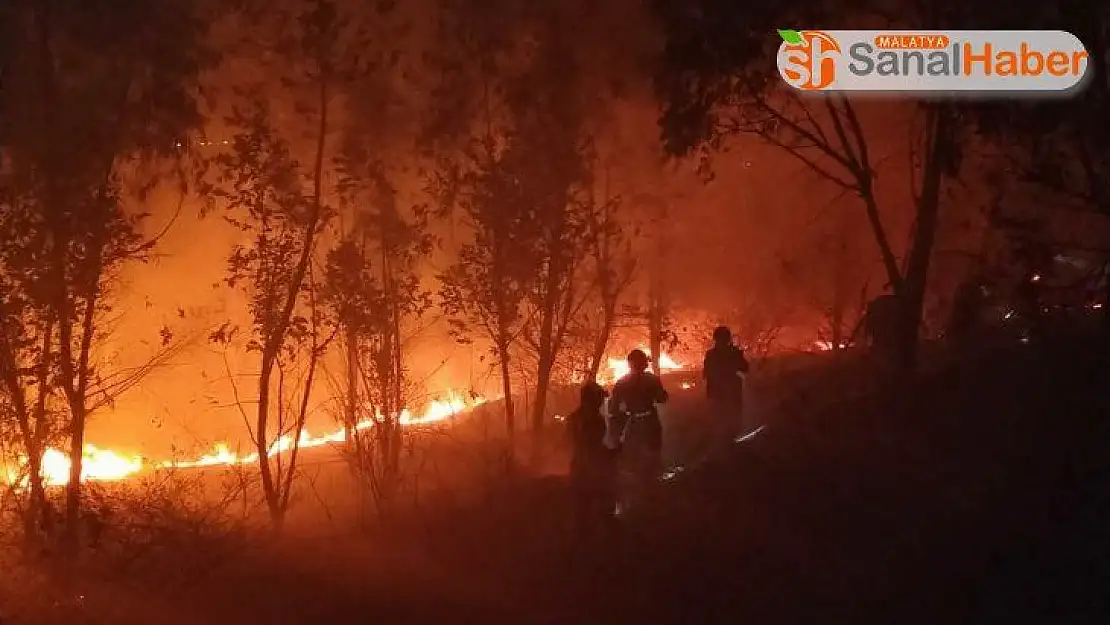 Çin'de orman yangınında itfaiye ekibi mahsur kaldı: 19 ölü