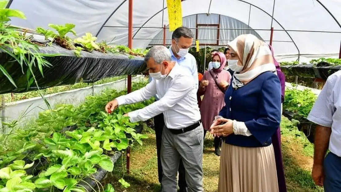 'Çınar, kadın girişimcileri sera alanında ağırladı'