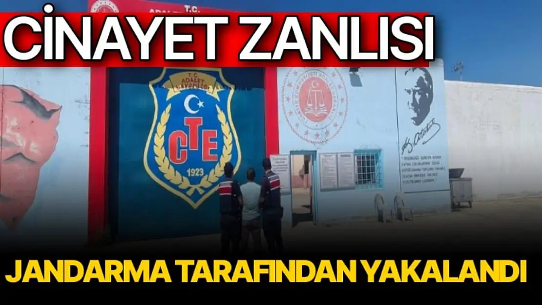 Cinayet zanlısı jandarma tarafından yakalandı