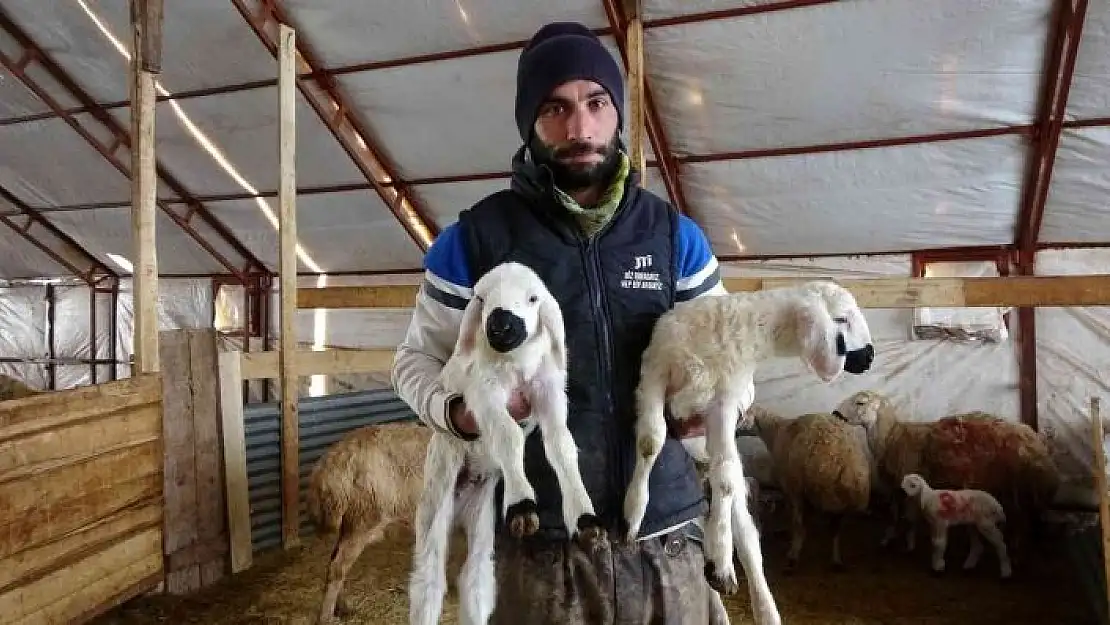 'Çobanlık değere bindi, patronlar sürülerin başına geçip çoban oldu'