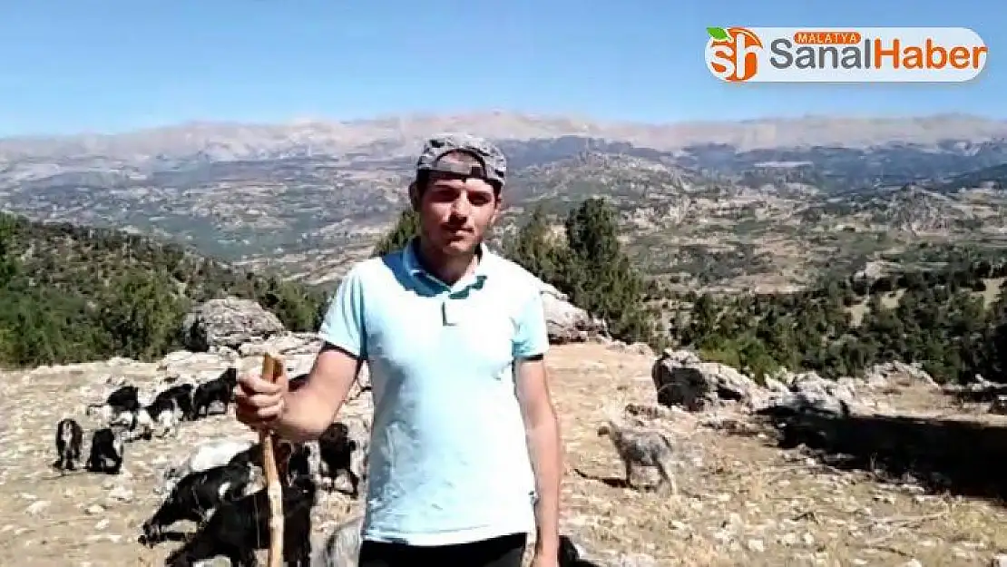 Çobanlık yaparak üniversiteye hazırlandı, 536,84 puan aldı