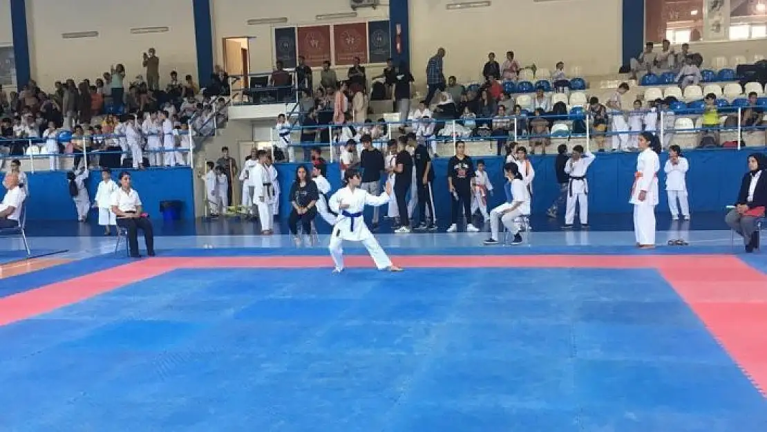 'Çocuk evlerinde kalan çocuklar karate turnuvasından başarıyla döndü'