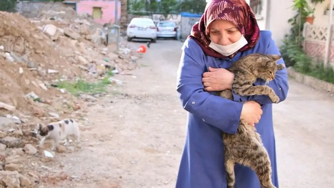 'Çocukları vefat eden Fatma teyze, 35 kediye anne şefkatiyle bakıyor'