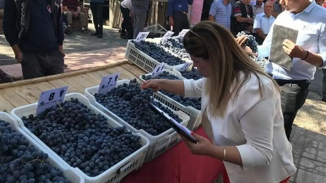 'Coğrafi işaretli ürünler yoğun ilgi gördü'