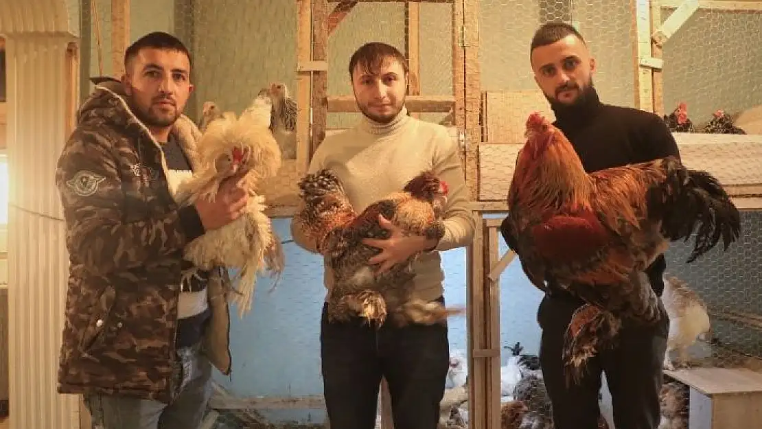 'Çok sevdiği tavukları için müstakil ev kiraladı'